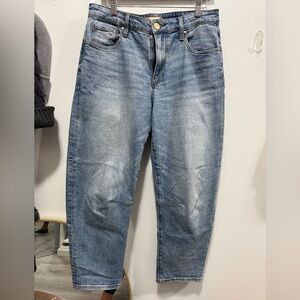 Kut from the Kloth Ashey Slouchy Barrel Jean